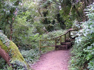 Path to Robin Hood's Bay