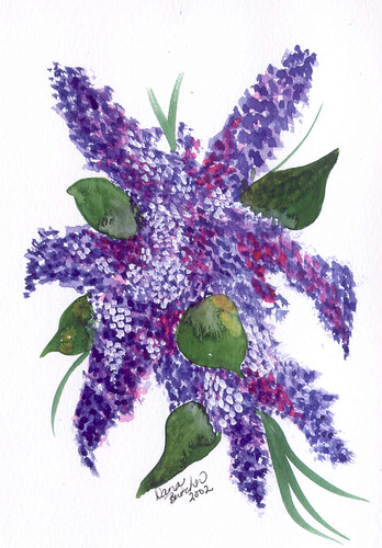 Lilacs watercolor