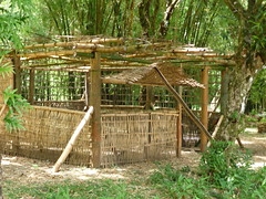 Case de bambou