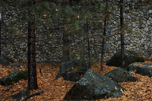 Art gallery: rock wall, rocks, pine trees, autumn leaves, Yosemite, California, USA by Wonderlane