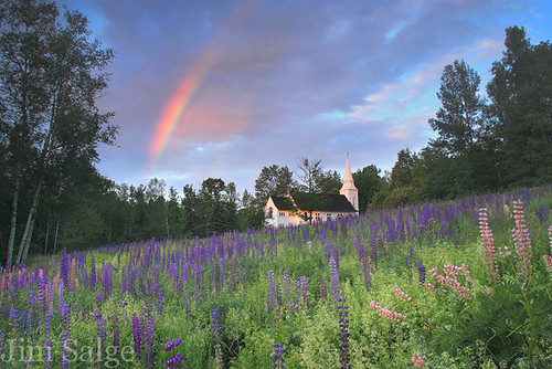 Magic Happens - Rainbow Over Lupines in Sugar Hill, NH
