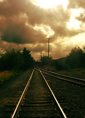 Trains & Rails