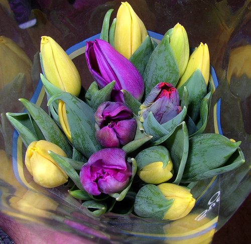 easter flowers pictures