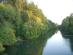 Tualatin River