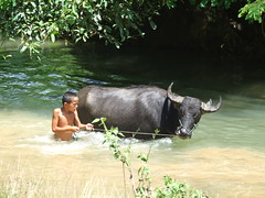 Laos 2008