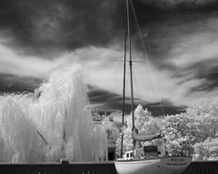 Kent County, MD - 2008 (Infrared)