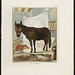 buffon horse 1749