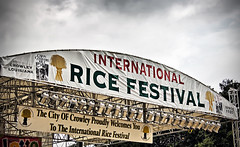 2008 International Rice Festival