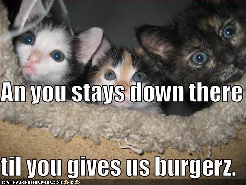 funny-pictures-give-us-burgers
