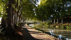 Variations sur le Canal du Midi