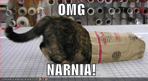lol cats narnia