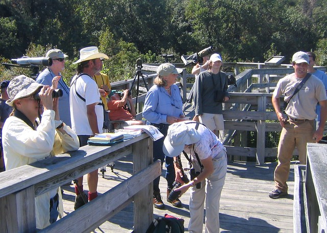 Don't forget your binoculars!  Programs at the park's Hawk Observatory are on the schedule.