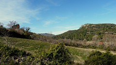 Vallée de l'Hérault (rando)