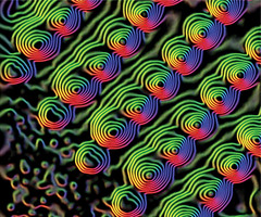 奈米鎳粉的磁力線(照片提供：Brookhaven National Laboratory)