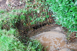Problèmes de fosse septique dans toute la région Crosnes
