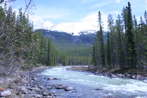 Athabasca River by crawdrewford