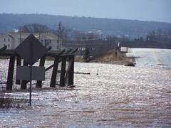 Hometown flooding