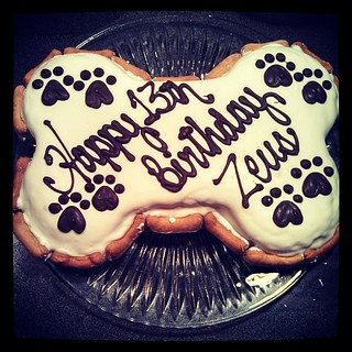 Zeus' Apple Oatmeal #birthday #cake from The Barkery #dogbone #dogstagram #instadog #ilovemydogs