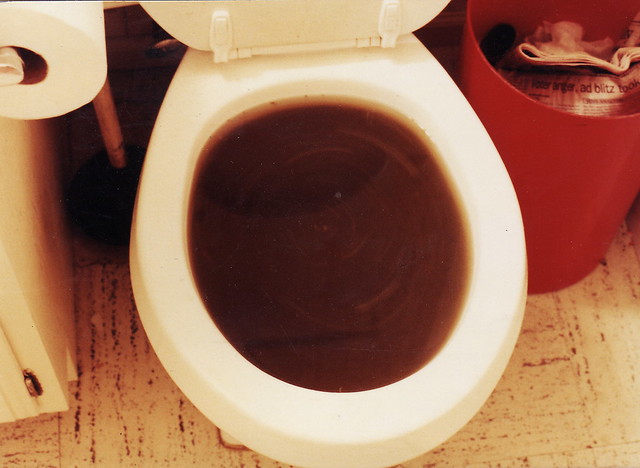 poopy-toilet-flushed-and-clogged-flickr-photo-sharing