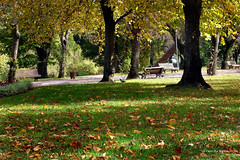 O Outono no parque