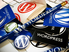 Wordpress Schwag
