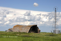 Saskatchewan Barns