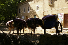 Amsouzerte to Lac D'Ifni 2007/12 Morocco