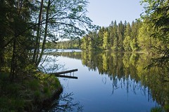 Lakes/Järvet