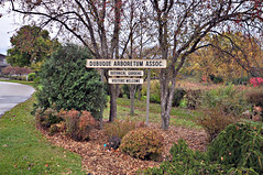 Dubuque - Arboretum Marshall Park