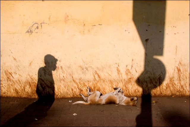 Slumdog - Contoh Besar Shadows di Street Photography