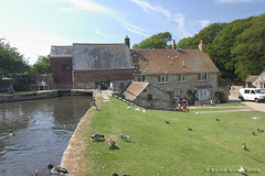 Calbourne Water Mill
