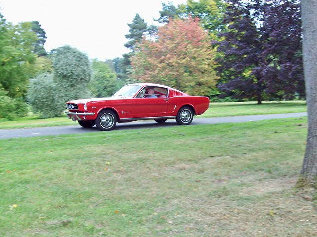 298 Ford Mustang Fastback 196768 Ford Mustang Fastback 1967 Engine