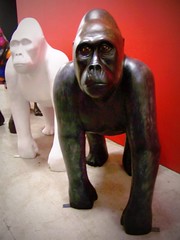 Bristol Gorillas