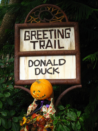 Donald's Greeting Trail