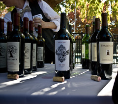 Decatur Wine Festival and Tasting Nov 1, 2008