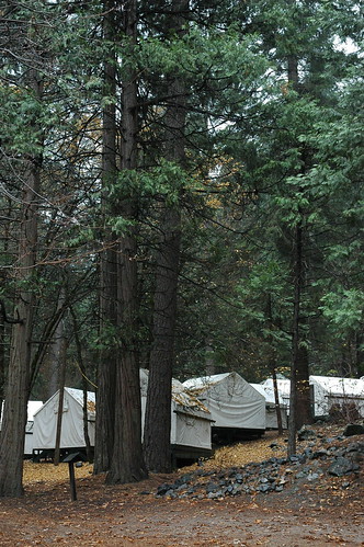 Unheated (cold - no power) white tents, under trees on the hillside, fall, Yosemite National Park, California, USA by Wonderlane
