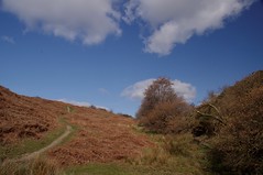 Shropshire hills