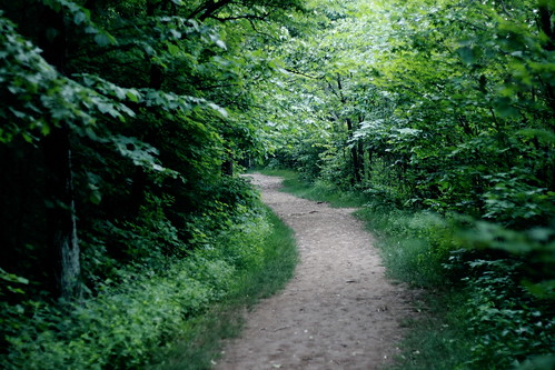 Talcott Mountain path