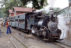 India steam - narrow gauge