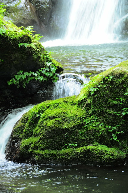 Waterfall 名田庄・野鹿の滝