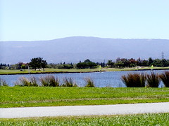 Shoreline park 2002