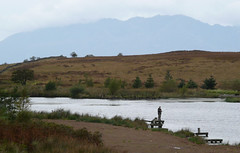 Lochwinnoch birds and some Clyde views