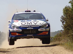 Rally Images (WRC and National Championships)