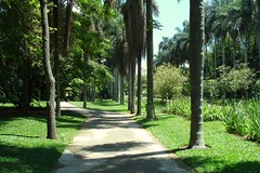 Botanic Garden II