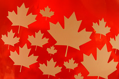 Canada Day, 2008