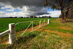 Wangaratta, Victoria, Australia, farm IMG_0809_Wangaratta