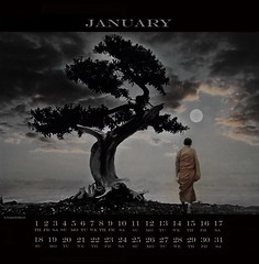 Buddha Calendar 2009