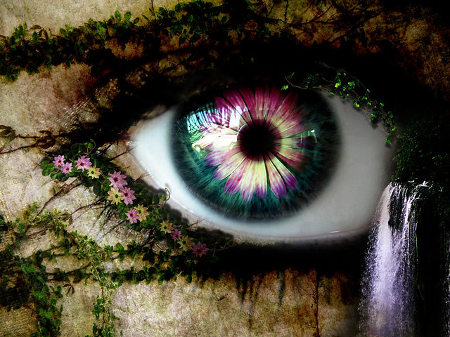eye, spring, flower, photo, manipulation