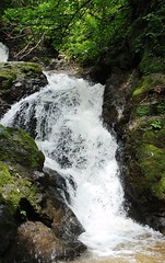 Nosara Waterfall