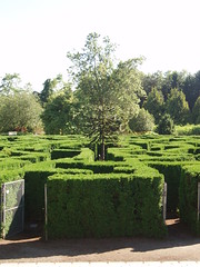 Van Dusen Botanical Garden - July 2008
